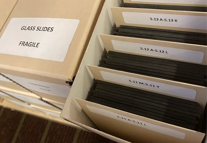 Photo of glass sides housed within archival boxes, with label "GLASS SLIDES FRAGILE"