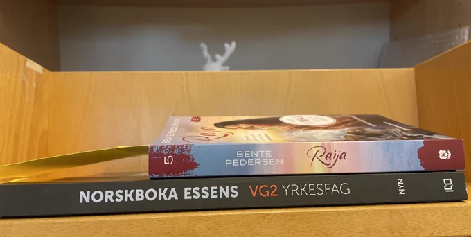 To bøker: bind 5 av nyutgivelsen av Raija, og Norskboka Essens, for vg2 yrkesfag. I bakgrunnen skimtes hornan av en plastrein.