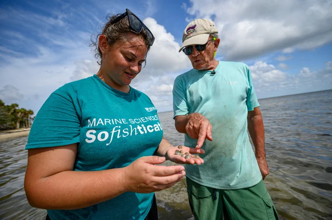 a person points to small objects in another person's hand while they stand in shallow water on a beach