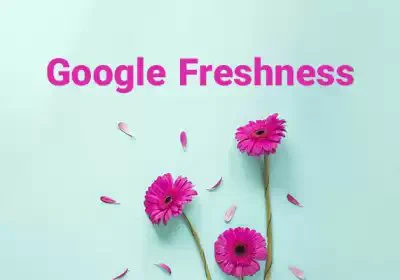 الگوریتم Google Freshness، که در سال 2011 معرفی شد، با هدف ارائه جدیدترین و مرتبط ترین محتوا برای جستجو در اختیار کاربران قرار دارد. این برای تمایز بین محتوای همیشه سبز (اطلاعات بی زمان) و محتوای تازه (به روز رسانی های اخیر و اخبار) طراحی شده است. با انجام این کار، Google تضمین میکند که جدیدترین و مرتبط ترین اطلاعات موجود در اختیار کاربران قرار میگیرد.