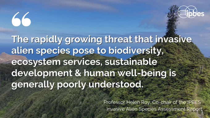 Vegetation on a hilltop and a quote from Professor Helen Roy saying The rapidly growing threat that invasive alien species pose to biodiversity, ecosystem services, sustainable development & human well-being is generally poorly understood