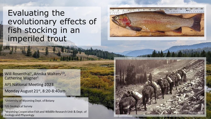 Title slide for a presentation titled "Evaluating the evolutionary effects of fish stocking in an imperiled trout"