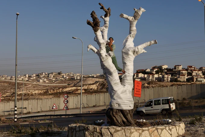 A photo from Ariane Littman's portfolio, featuring the artist bandaging an olive tree near the Israeli separation barrier. Open access CC-BY-NC.