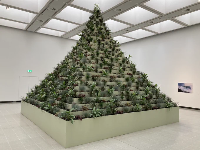 A small pyramid structure reaching almost to the ceiling of a room. Each tier of the pyramid is a planter with dark green and red foliage.
