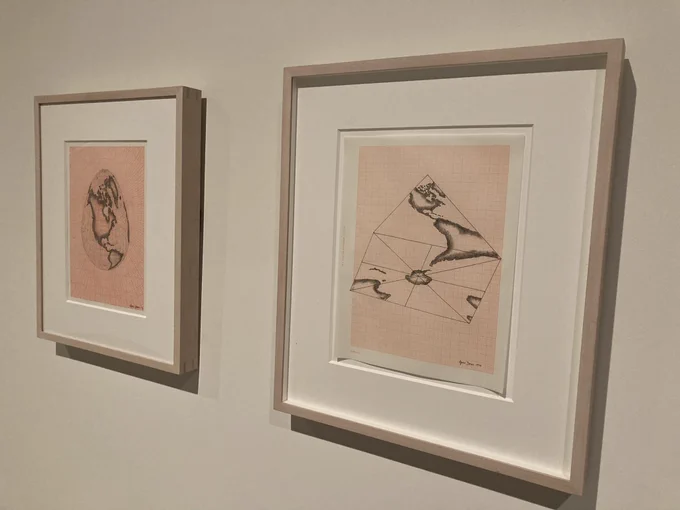 Two framed pictures hanging on a wall showing projections of the Earth on different geometric forms