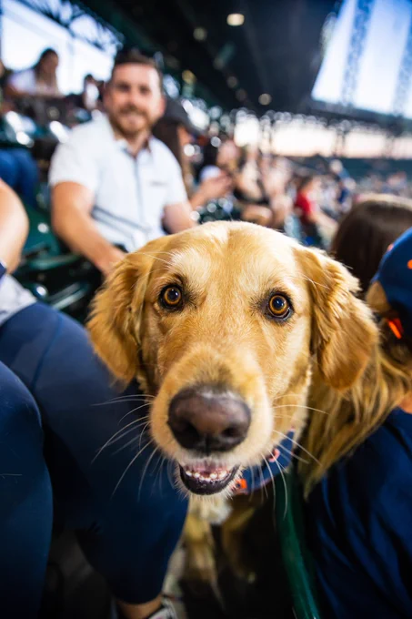 Smiling dog in Comerica Park aisle smiling at camera