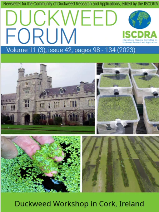 Front cover of Duckweed Forum newsletter, Volume 11, with four photos. Images showing the quad at University College Cork, duckweed tanks in a cascading system, fingers lifting duckweed from the water, and the large flow-through system where duckweed is grown in Mount Lucas. Text below the photos says: Duckweed Workshop in Cork, Ireland.