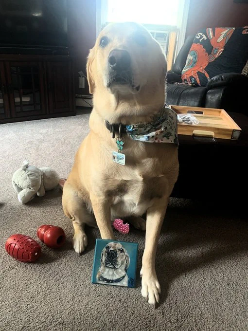 Marlin the Goldador asking @Chewy to discount @rexthetvterrier orders to offset tax for his 501(c)3 charity.