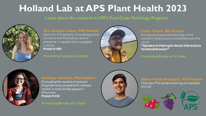 Photos of 4 Holland lab members and their respective presentation titles and times for the upcoming APS meeting.