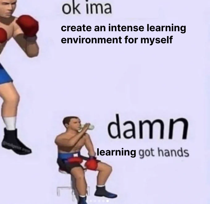boxing meme:
"ok ima create an intense learning environment for myself"
"damn, learning got hands"