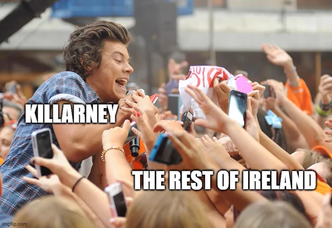 A meme showing Harry Styles being mobbed by adoring fans. Harry has been labelled as 'Killarney', the fans as 'The rest of Ireland'.