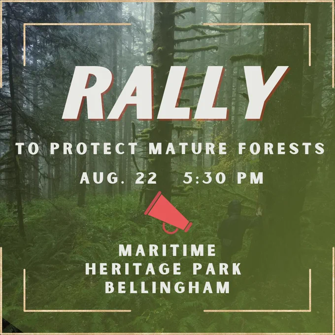 Image of a forest with overset text saying "Rally to protect mature forests, august 22, 5:30pm, Maritime Heritage Park Bellingham