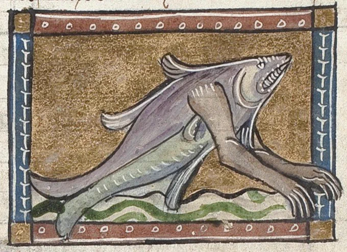 a medieval drawing of a  fish with two humanoid arms protruding from its side and an angry expression on its face