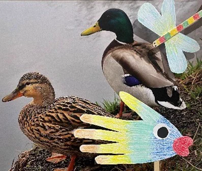 Photo of two ducks with children’s handmade dragonfly and fish crafts.