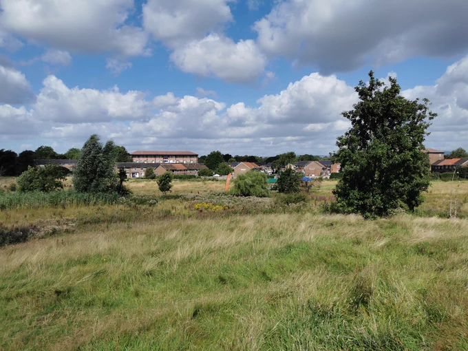 Sunny view across the park with grasslands, scattered trees and houses in the background