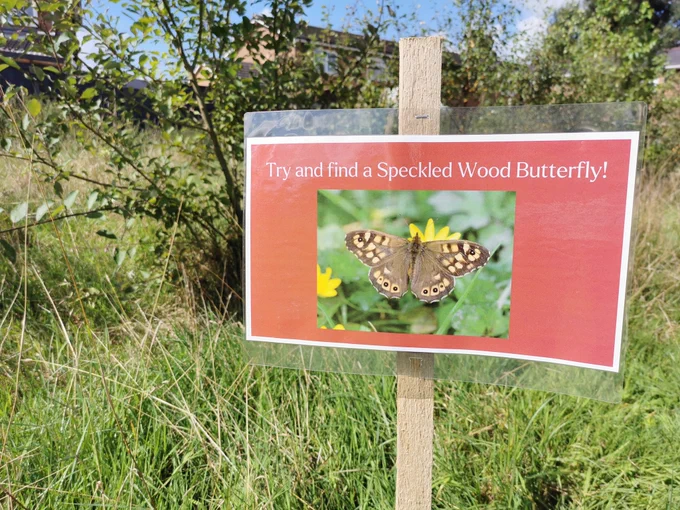 Sign with a picture of a butterfly. The test reads 'Try and find a Speckled Wood Butterfly' 