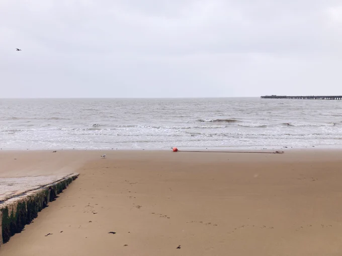 Photograph of the seafront at Walton on the Naze, with wet sand in the foreground, a concrete slope to the left, a buoy on a chain in front of the rough sea, a seagull in the cloudy to the left and te pier visible in the distance to the right.