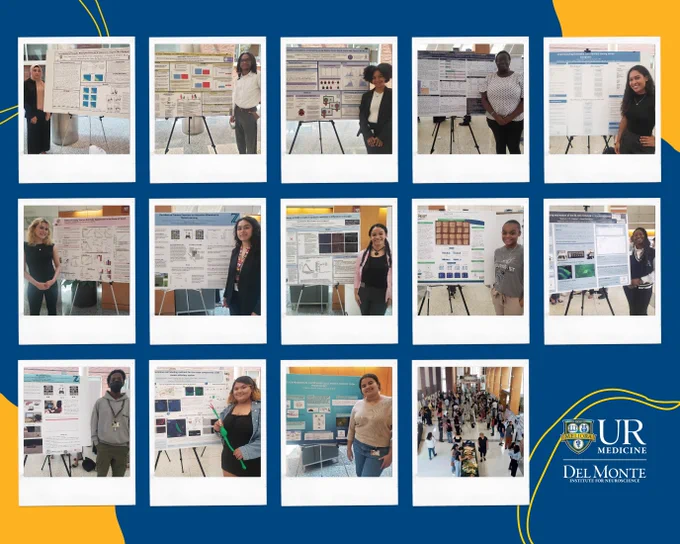 14 pictures from the poster presentation event for the Summer Scholars students.