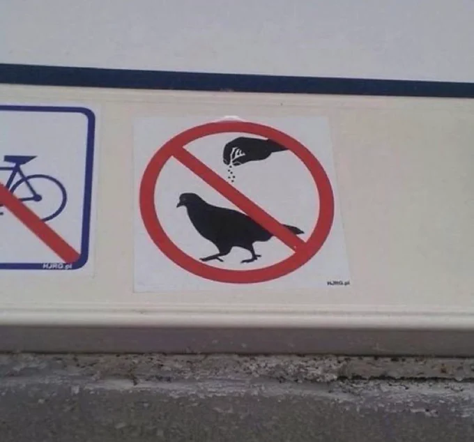 A “do not” sign with a hand sprinkling some stuff on top of a bird