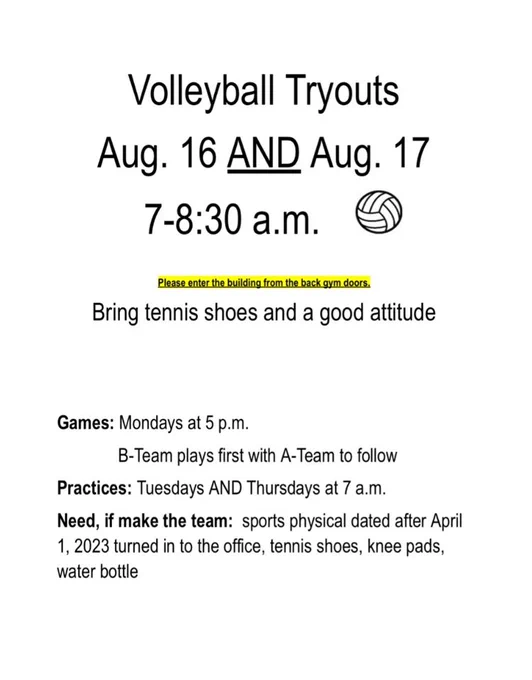 volleyball 