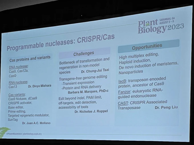 Overview of Current Advances in Plant Gene Editing