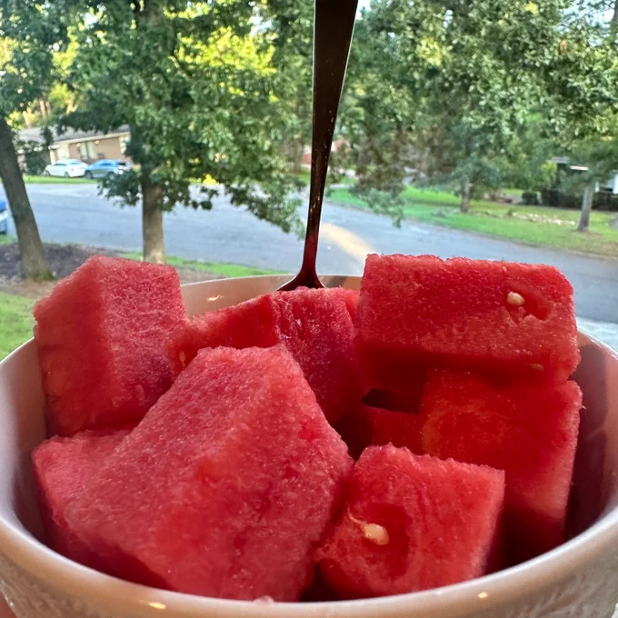 Cubed Watermelon