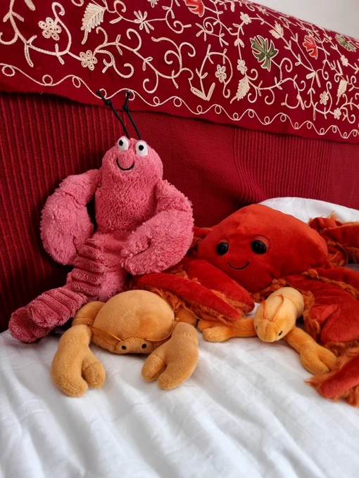 A collection of red and orange crustacean soft toys, including a lobster, a spider crab, a krill, and a small crab!