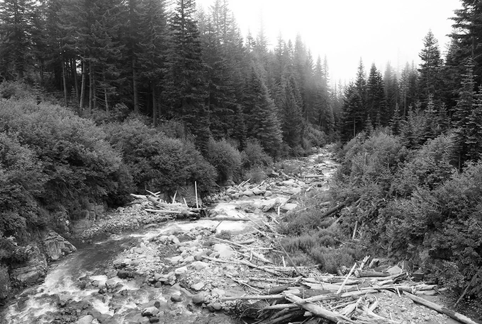 Black and white photograph of logs and rocks in river. 