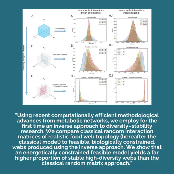 Figure from paper with caption: "Using recent computationally efficient methodological advances from metabolic networks, we employ for the first time an inverse approach to diversity–stability research. We compare classical random interaction matrices of realistic food web topology (hereafter the classical model) to feasible, biologically constrained, webs produced using the inverse approach. We show that an energetically constrained feasible model yields a far higher proportion of stable high-diversity webs than the classical random matrix approach."