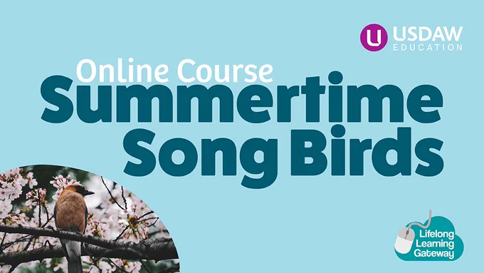Summertime Song Birds - Online course