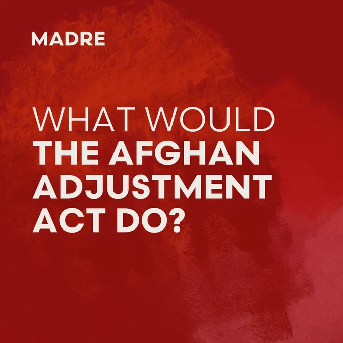 Graphic reads: What would the Afghan Adjustment Act do?