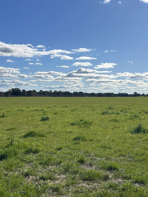 Right side from 1st image, this wasn’t grazed