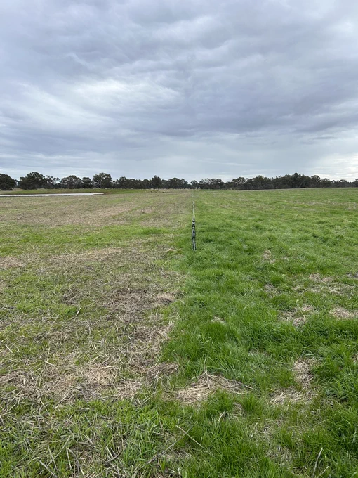This is a photo from a different section in the paddock at the time I was grazing it about 8 weeks ago, this is just to show how hard a grazed it