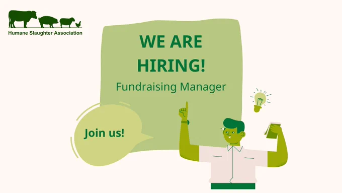 A graphic with the Humane Slaughter Association Logo in the top left hand corner (the logo includes the green silhouettes of animals facing to the right in a line - a cow, a pig, a sheep and a chicken). A cartoon man pointing to a notice is shown. The notice says "We are hiring! Fundraising Manager" A speech bubble saying 'join us' is shown. 