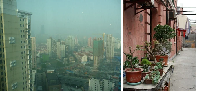 "How healthy?" View of a murky city seemingly suffering from air pollution; and view of street with pot plants.