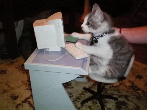 A cat using a computer