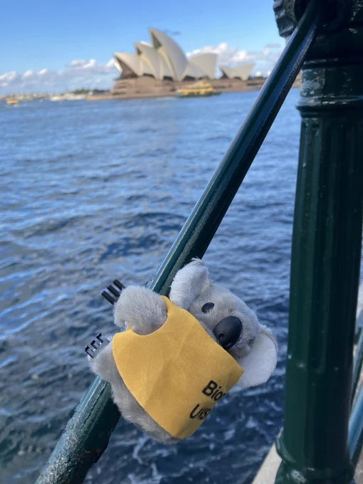 A small stuffed koala with a yellow vest attached to a green pole with the Sydney opera house in the background looking across the water