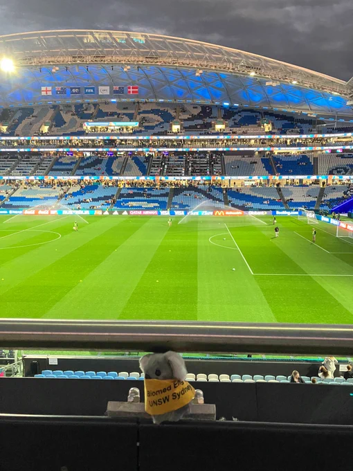 A small stuffed koala with a yellow vest attached to a metal pole with a football pitch in the background 