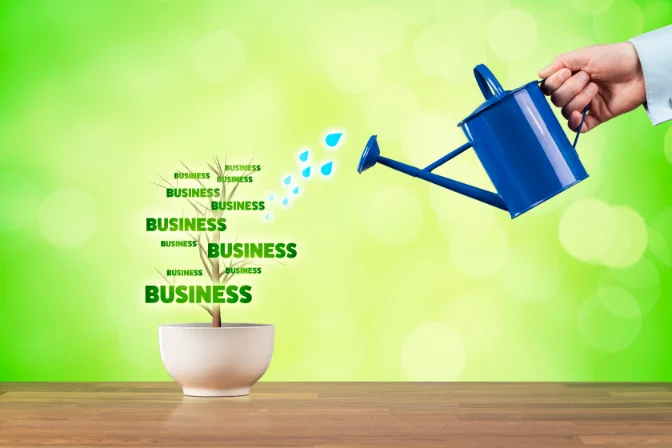 watering a plant with the words business on