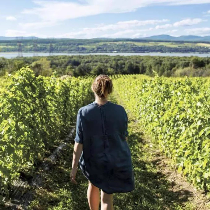 📍 Vignoble Isle de Bacchus
📸 Jeff Frenette Photography