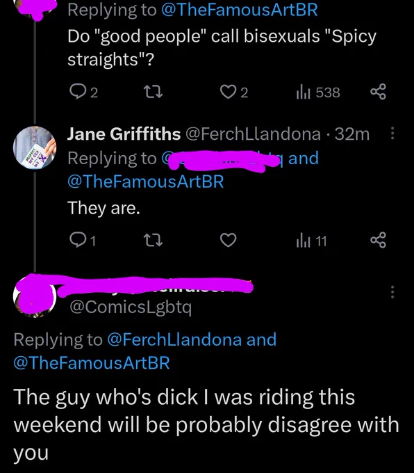 Twitter user: do good people call bisexuals "Spicy straights"?

@FerchLlandona response: they are.

@initial tweeter response: the guy who's dick I was riding this weekend will probably disagree with you