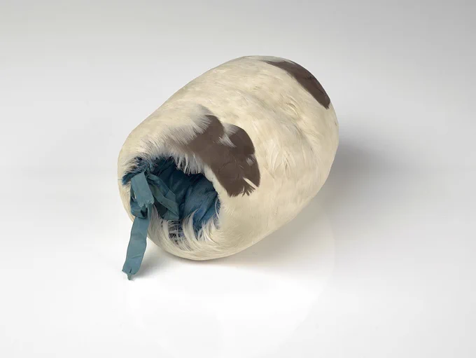 Muff made from a Southern Royal Albatross, 1870-1900, unknown maker. CC BY-NC-ND 4.0. Te Papa (PC000876)