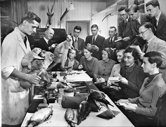 First Museums Association Diploma course at Liverpool Museum, 1935. Reproduced with kind permission of the Museums Association