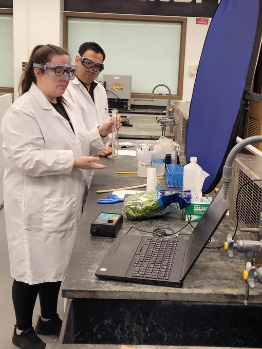 Filming the virtual lab: Analysis of Plant Pigments Using Thin Layer Chromatography and UV/Visible Spectroscopy