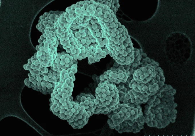 Image by Ljiljana Fruk, Leander Crocker, Max Crabe the image shows - bio-inspired polydopaminespheres as artificial enzymes for indigo dye production. You can see the spheres almost glowing under the microscope.