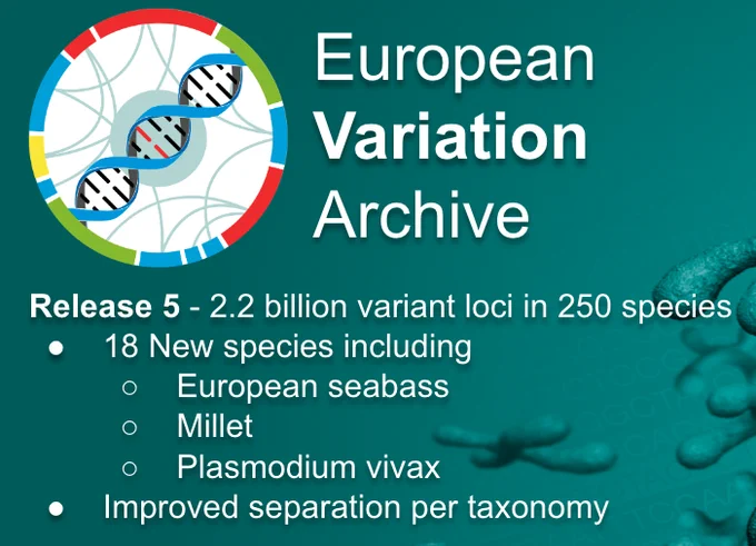Release 5 - 2.2 billion variant loci in 250 species
18 New species including 
European seabass
Millet
Plasmodium vivax
Improved separation per taxonomy

