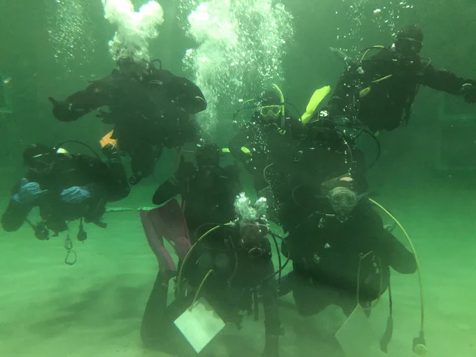 8 SCUBA divers in a green-hued tank, fully geared up with bubbles coming out.