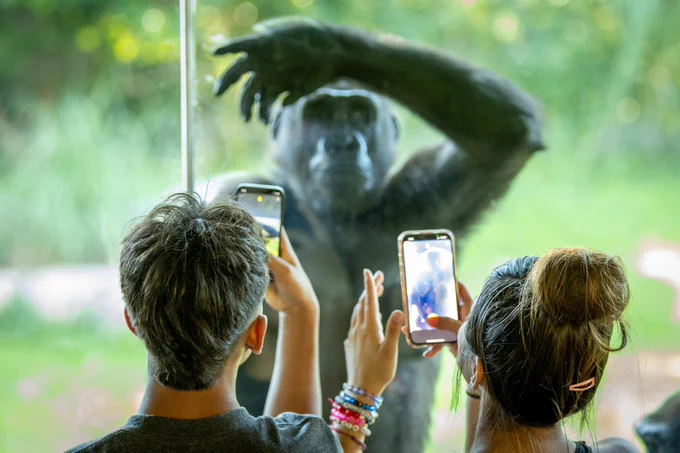 @sedgwickcozoo