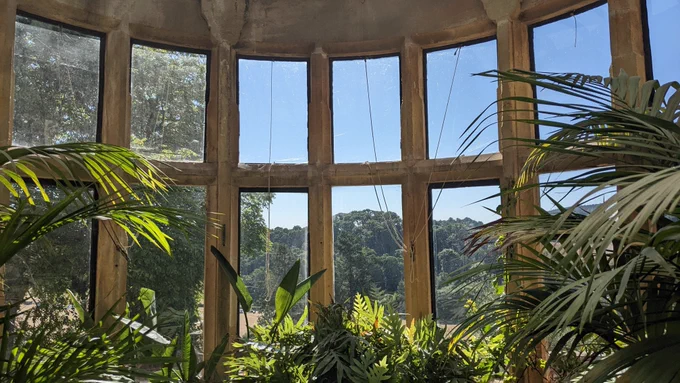 A large bay window with stone frames looking out over blue sky and a wooded hill. There are tropical palms in the foreground of the photograph inside the conservatory. 