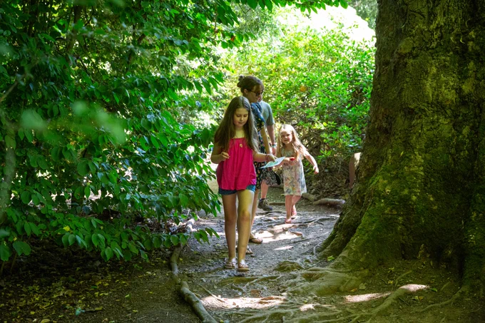A family walking between two trees in a shady garden. 